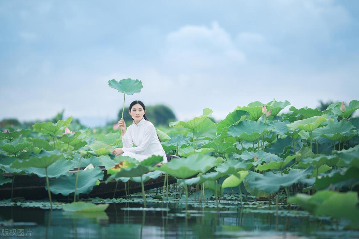 鹤山古劳水乡自由行,鹤山自由行攻略