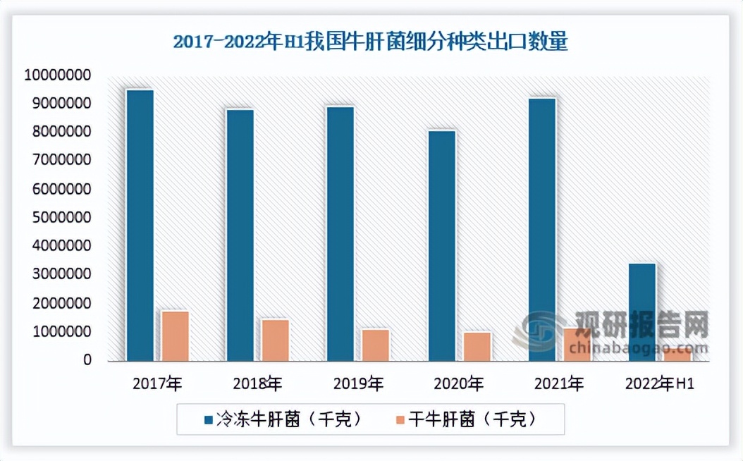 人工牛肝菌的市场分析,2022羊肚菌行业分析