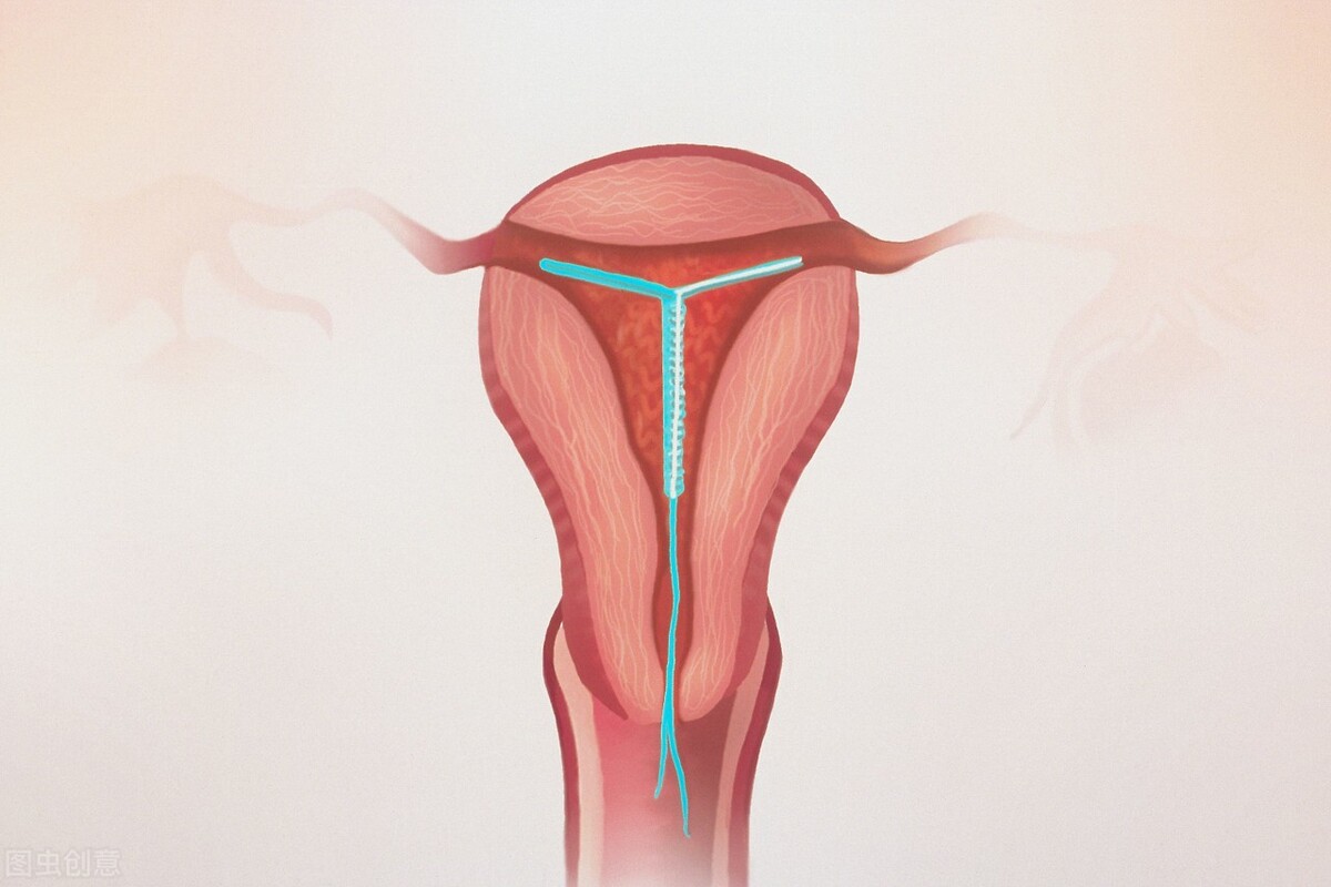 体检必查项目,全身体检必做的7个彩超检查