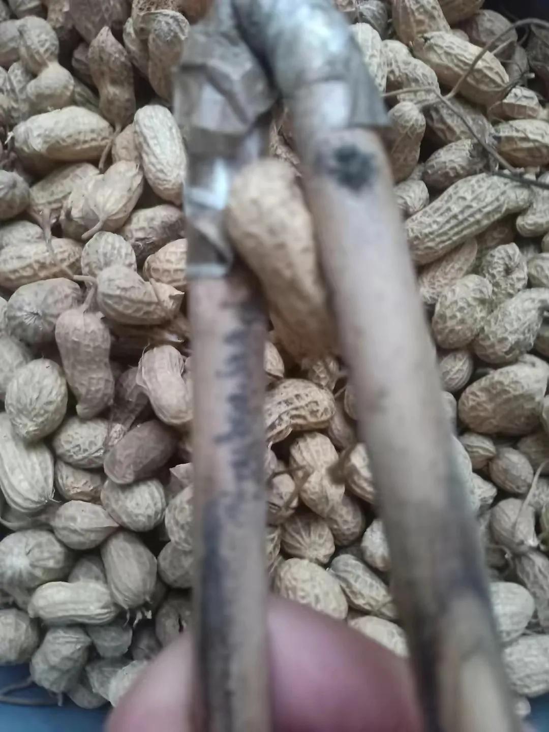 剥花生用什么工具,剥花生后心口疼