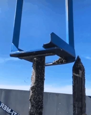 活久见！这些特殊的“专业工具”，简直令人大开眼界！