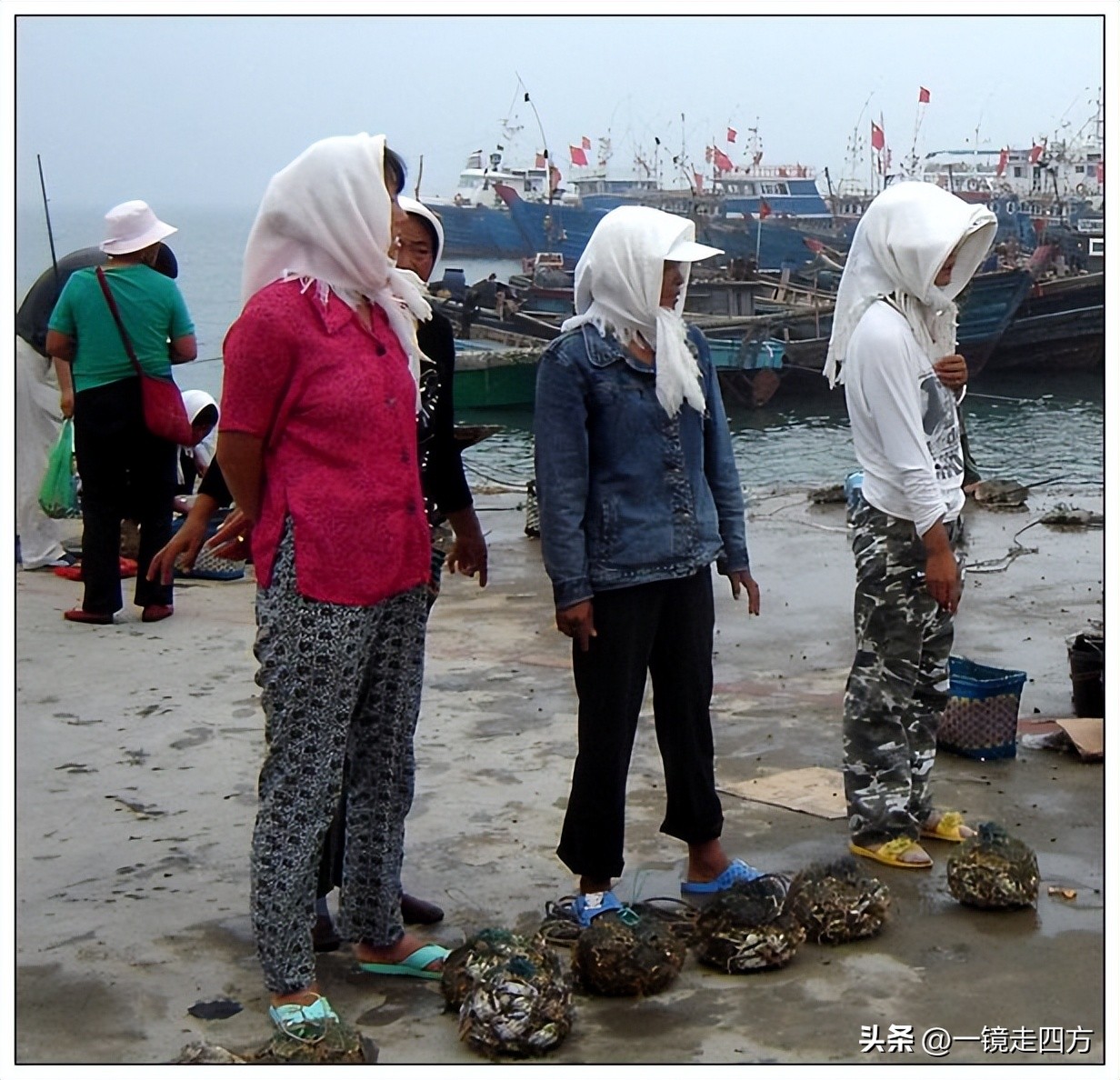 到兴城旅游,兴城怎么去菊花岛旅游