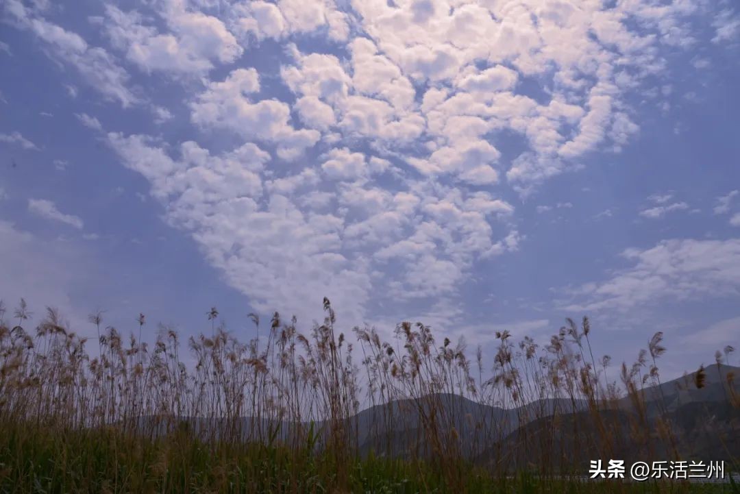 兰州西固风景区有哪些,不出兰州看丹霞