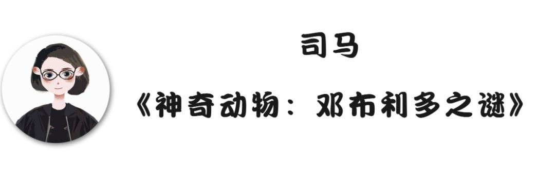 编辑部的故事编剧作者是谁,编辑部的故事免费完整版