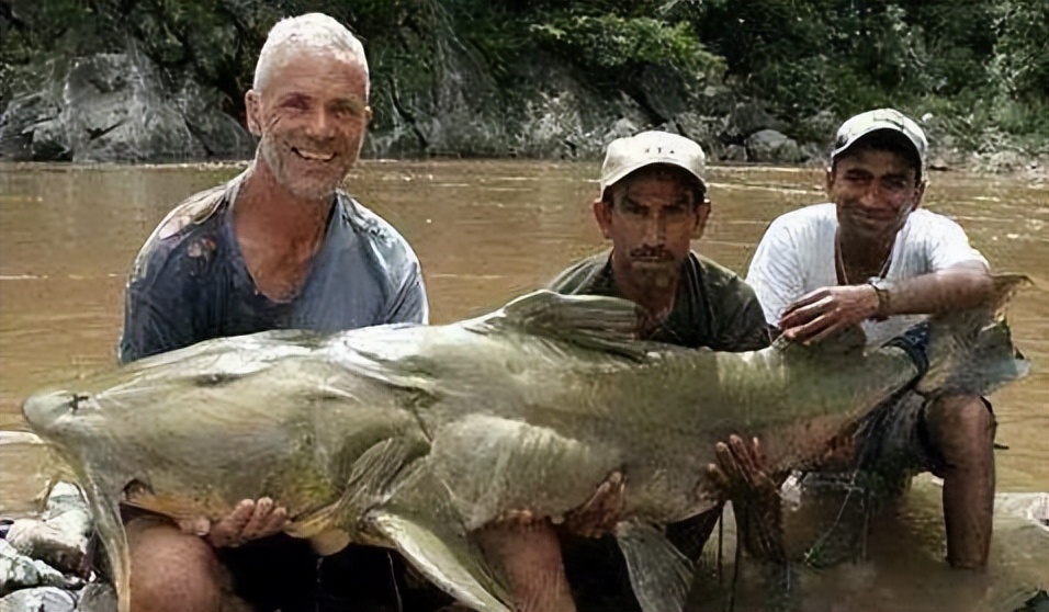 小到钻丁丁，大到吞活人，这片贝爷看了都怕