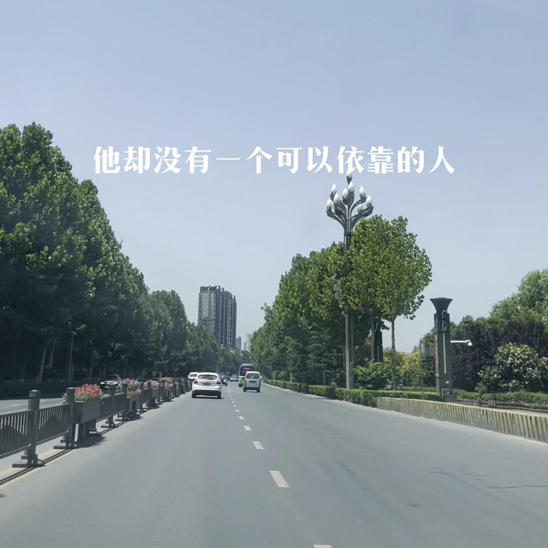 谁能理解男人#宝鸡鳄鱼