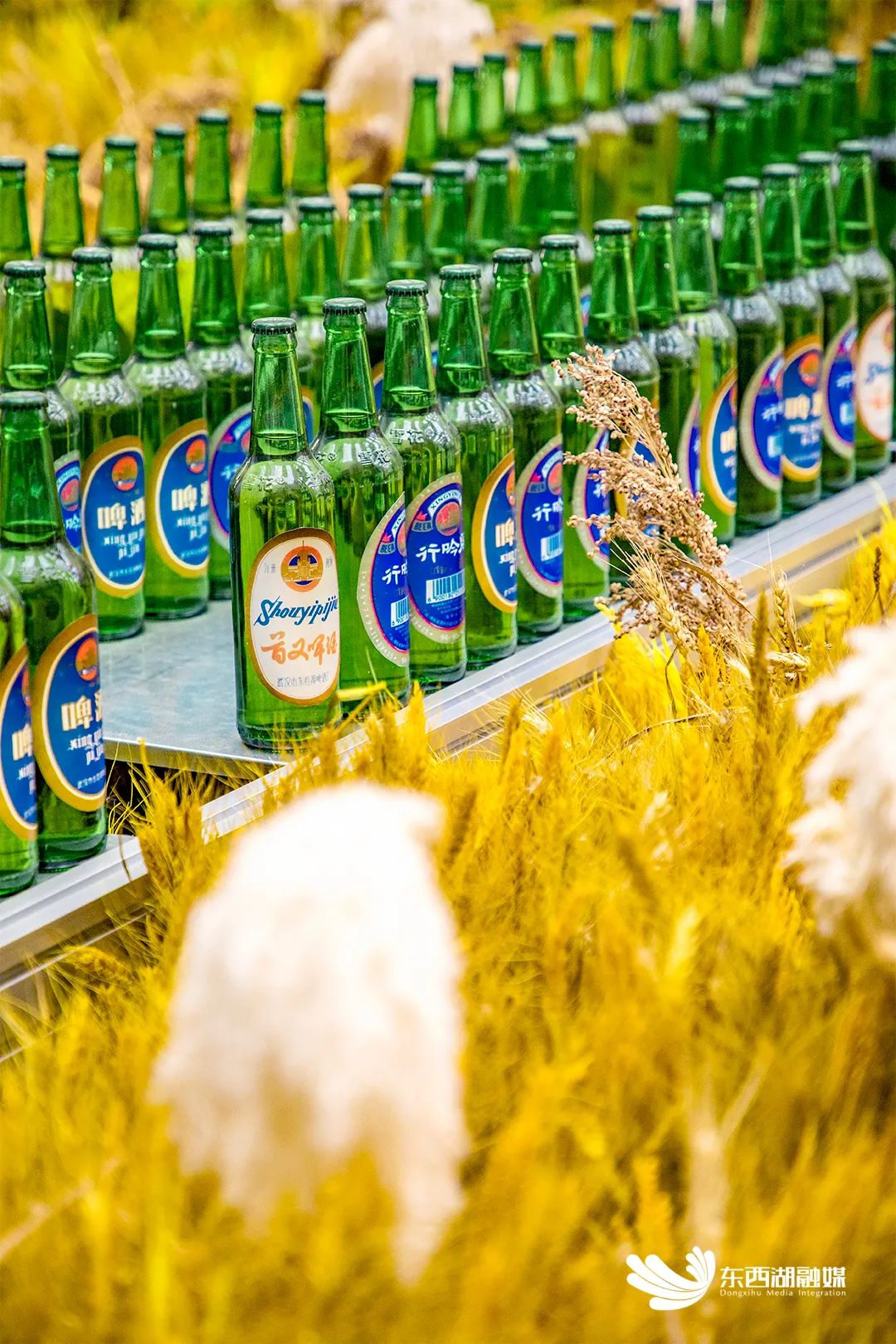 三分钟看懂武汉城市,30秒了解黄冈