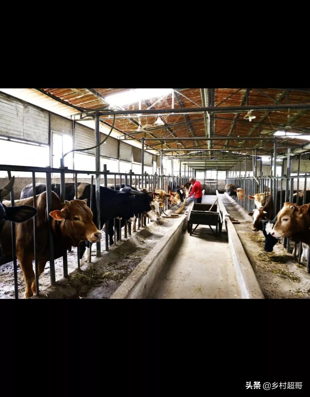 农村的赚钱门路是哪些,农村无成本挣钱的门道