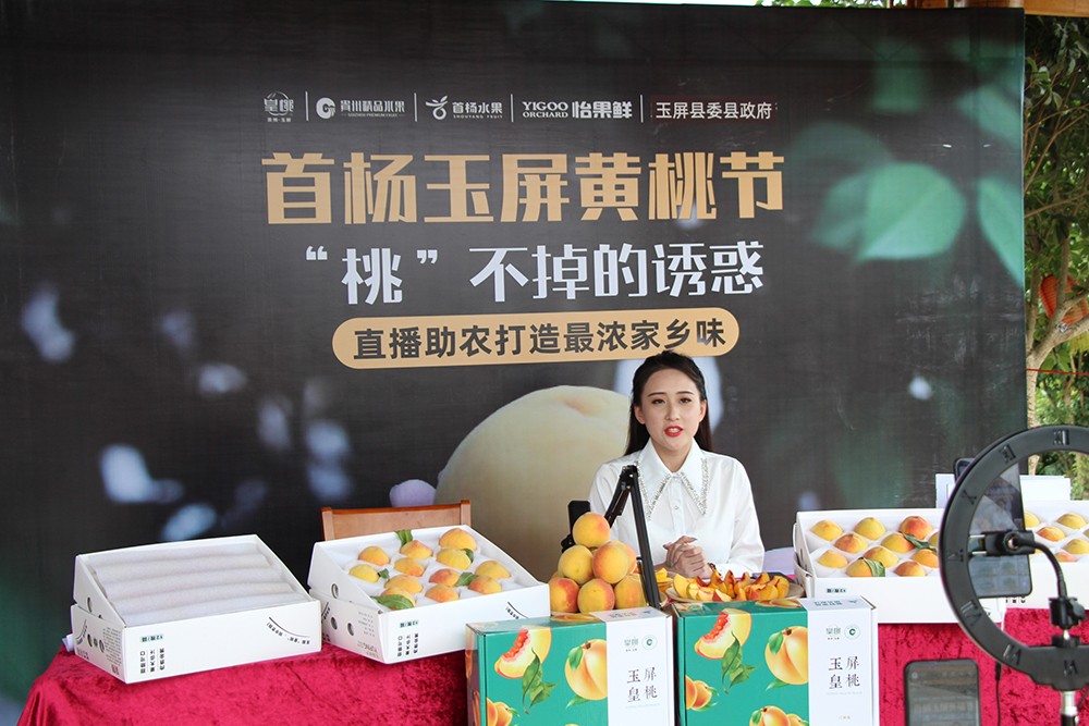 水果店水果代理加盟条件,全国加盟水果店最热门的是