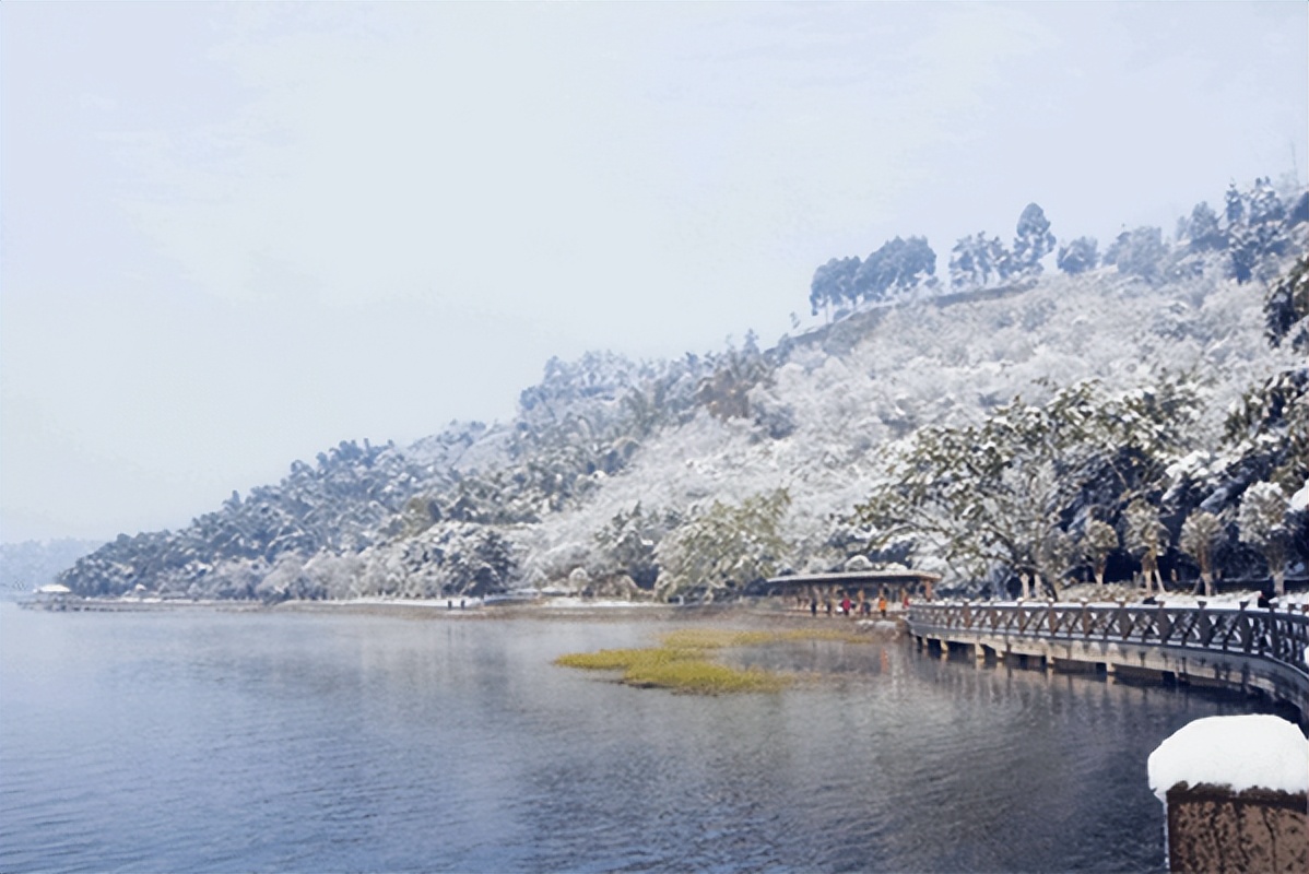 【诗词】我的长江是一棵树（外四首）‖罗学娅