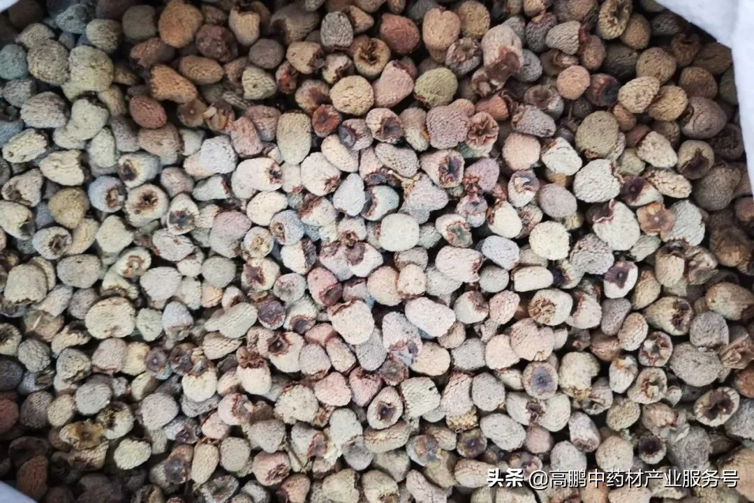 药材走势预测,高鹏说药材近期部分品种价格行情