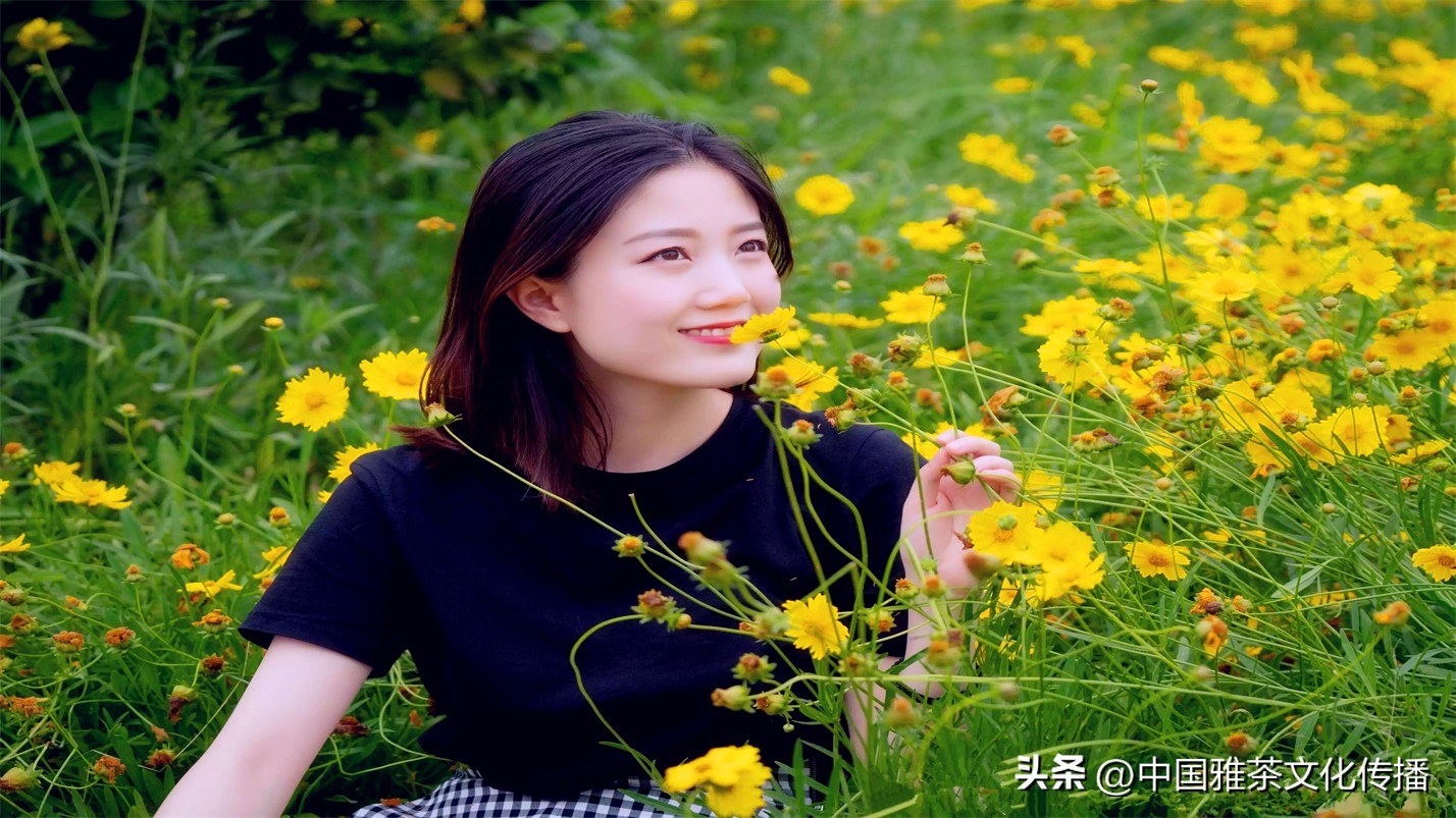 岁月与时光感悟人生,惊艳回眸的时光