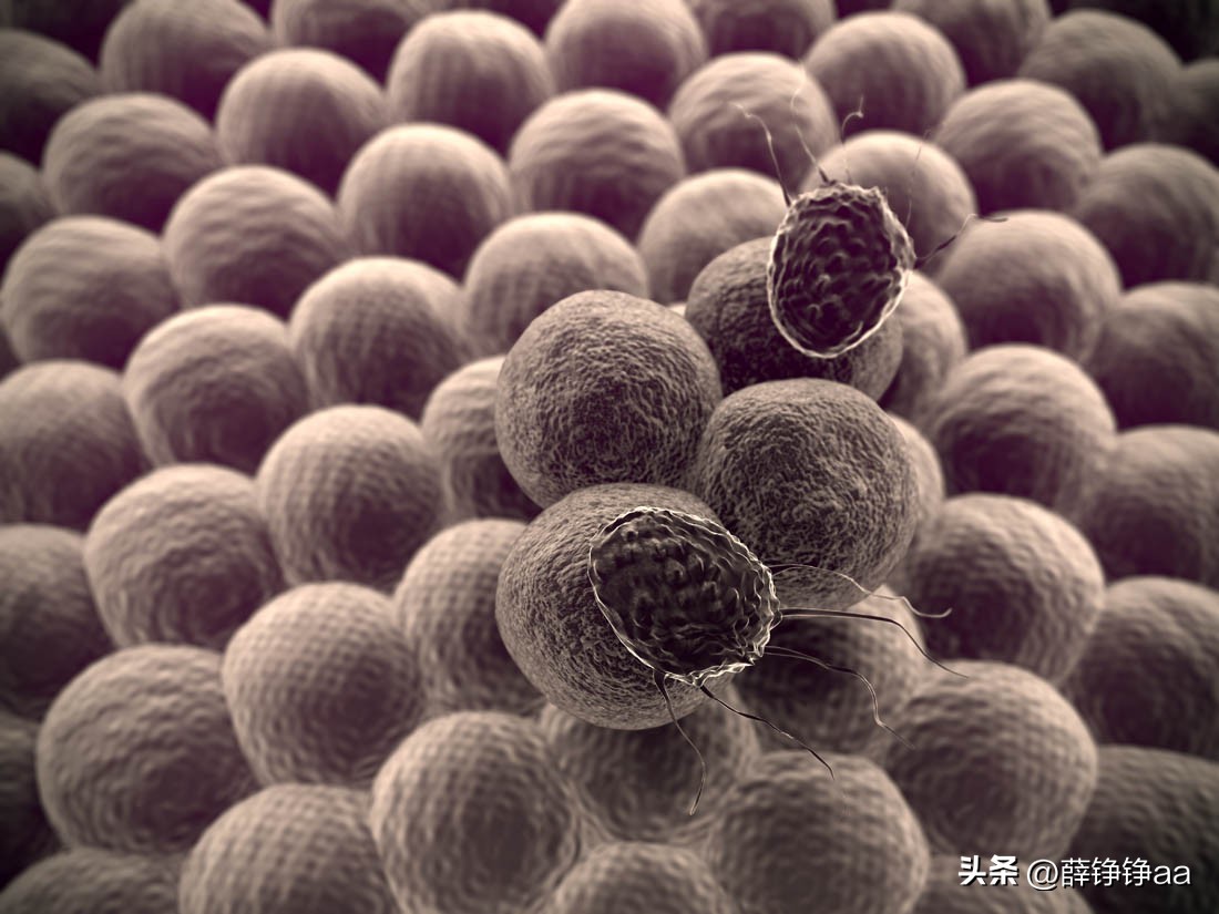 怎样辨别细菌肠胃炎,拉曼光谱法在药品检测中的应用