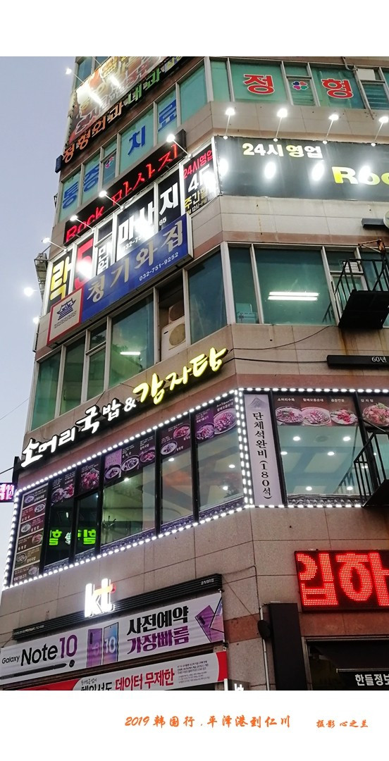 韩国行中国行,韩国行旅行团