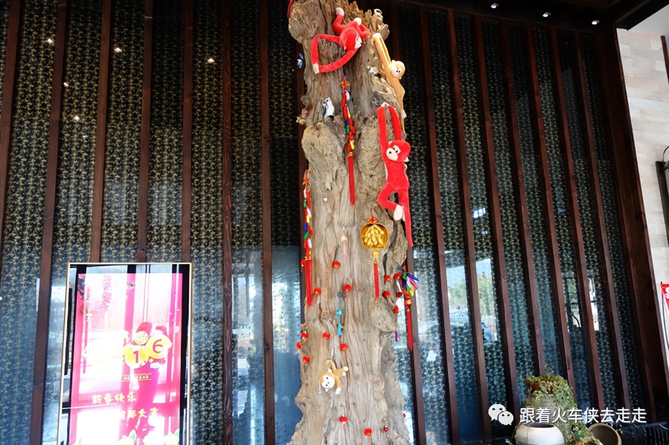 宜兴阳羡湖深氧公园介绍,宜兴旅游阳羡湖