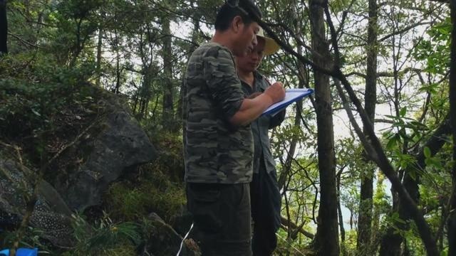 山西小伙卖房、花光百万，买了一屋烂树根，11年后价值无法估量