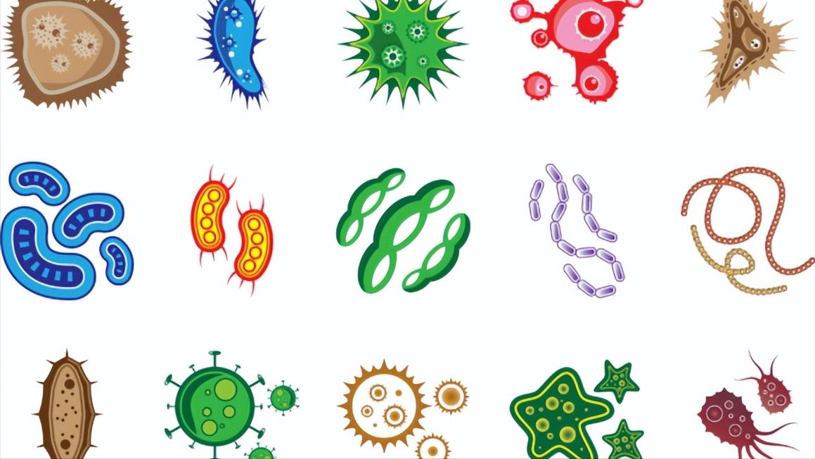 女性尿路感染发生风险高达男性14倍？为何？预防与用药有何讲究？