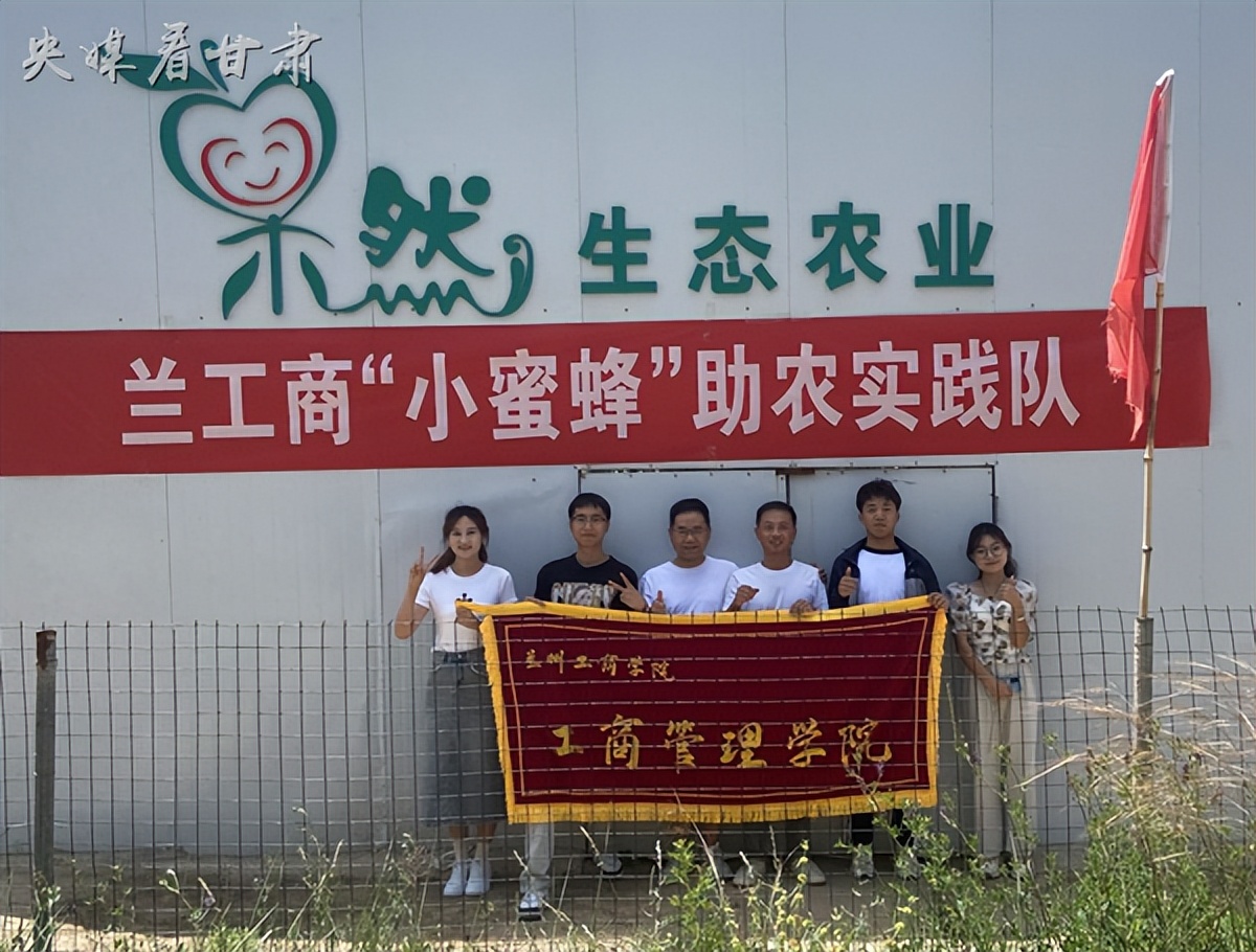 乡村振兴返乡创业宜居宜业,返乡创业青年为乡村振兴添砖加瓦