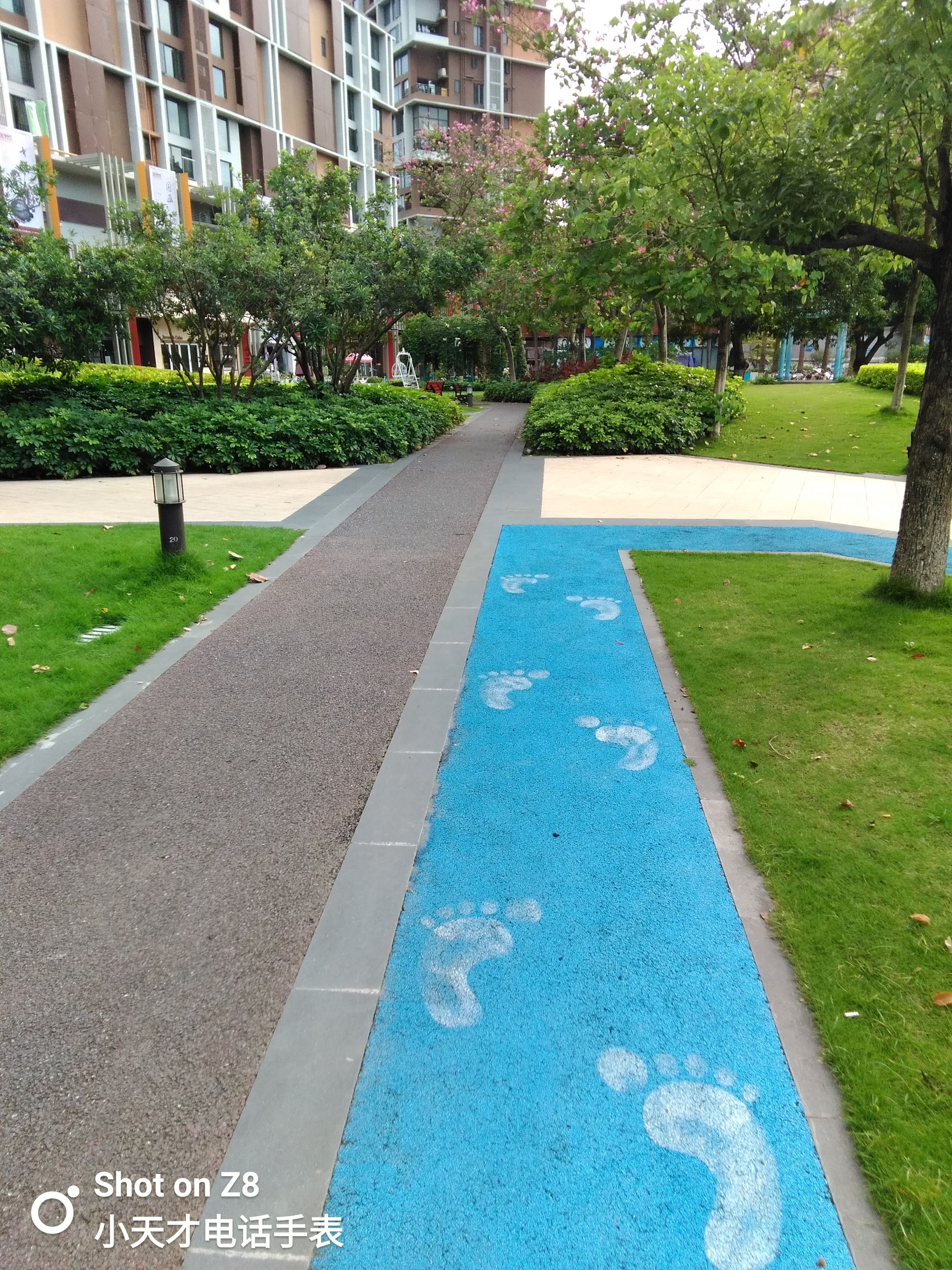 小天才电话手表z8有没有楼层定位,小天才电话手表z8详细讲解