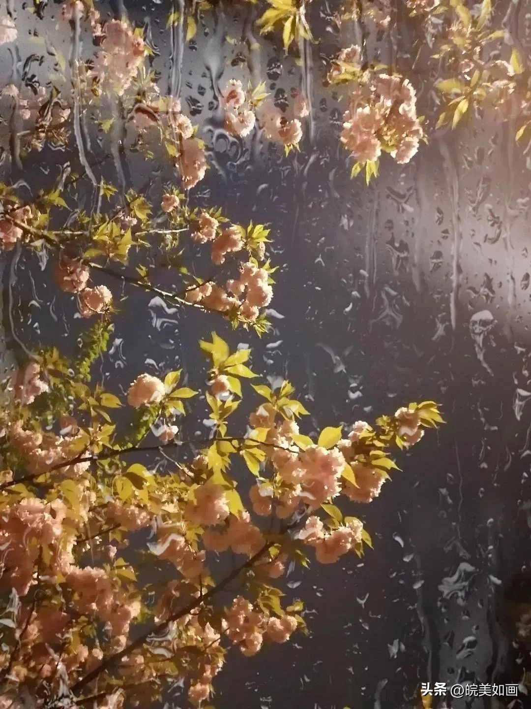 安徽大学好看的风景,高校最美秋景