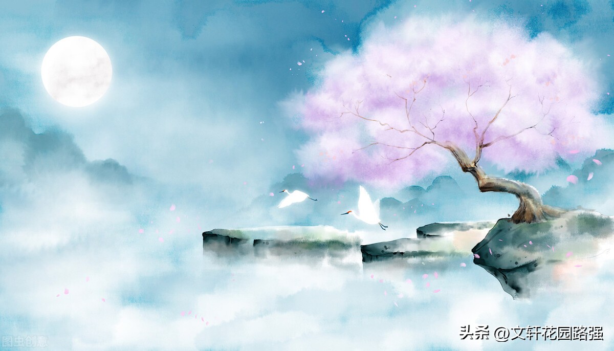 关于中秋节或带有月的古诗词,中秋月月到中秋偏皎洁赏析