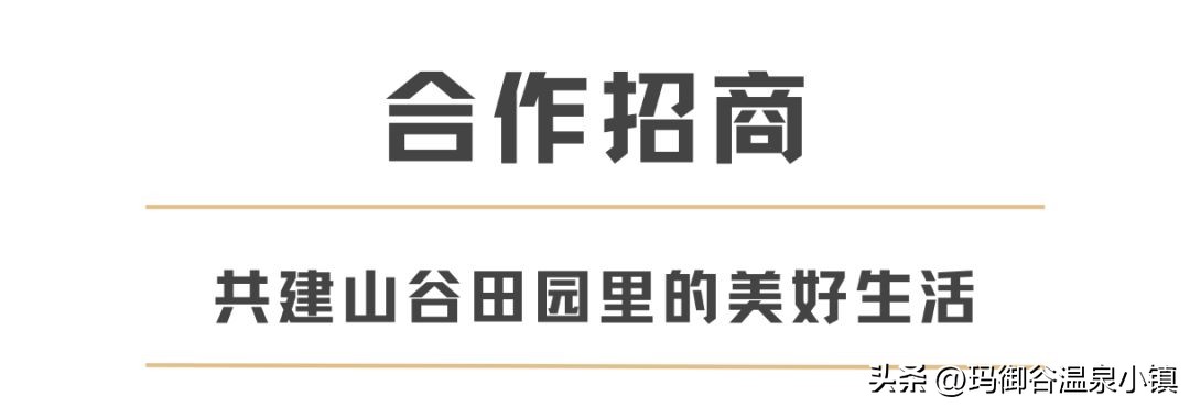 “谷礼”诚挚招商，共创美好生活旅居圈