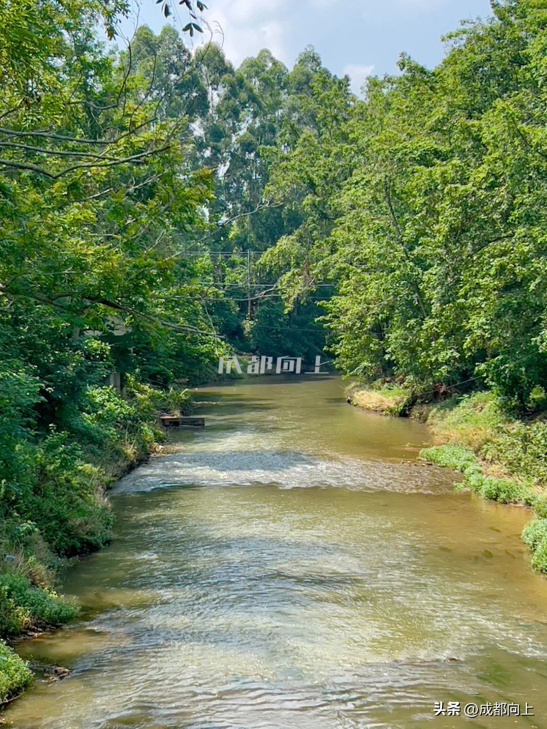 成都天府新区人工湖,天府新区在建人工湖