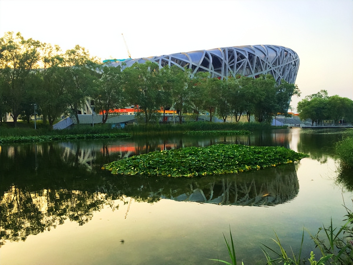 去奥林匹克公园能看到水立方吗,从奥林匹克塔看奥林匹克公园