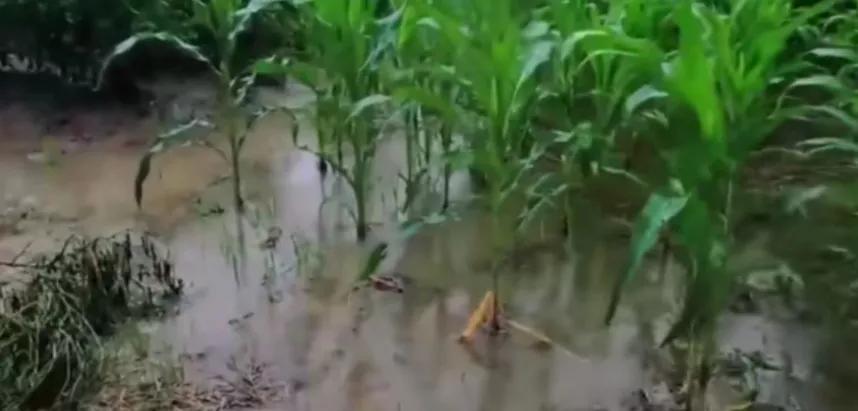 400亩良田一夜之间变成一个大湖,广西400亩田竟然一夜间变吨湖