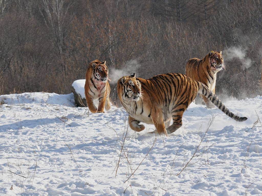 中国最憋屈的城市,中国最舒服的海滨城市