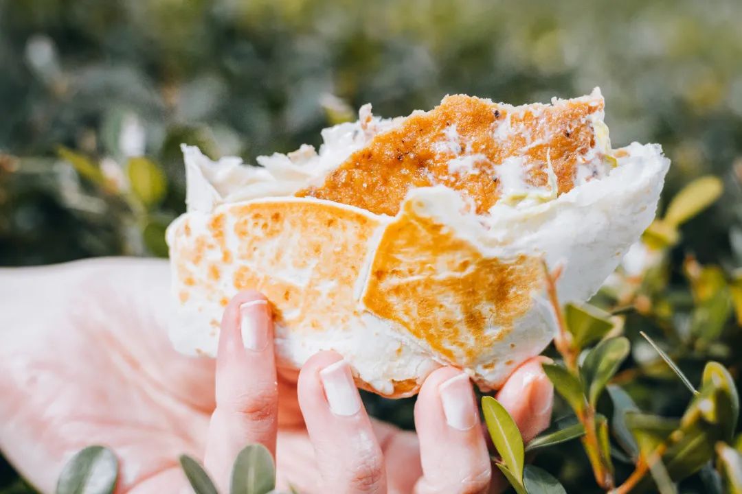 华莱士汉堡炸鸡薯条可乐鸡翅,华莱士为什么只有炸鸡汉堡