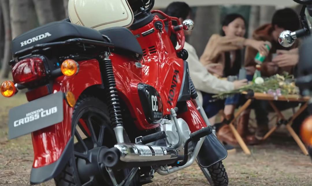 幼兽cc110详细测评,幼兽cc110现在多少钱