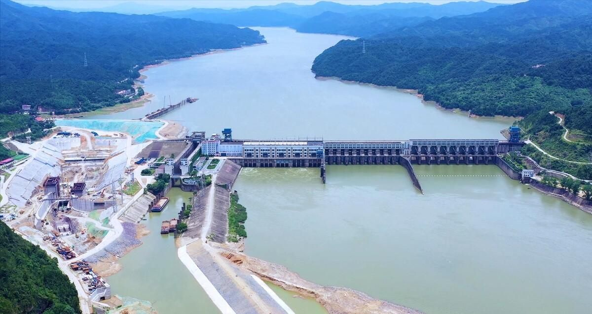 长江野生鲥鱼还有没有,现在长江鲥鱼怎么样了