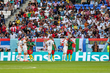 世界杯守门员出现的致命错误,世界杯门将巨大失误事件