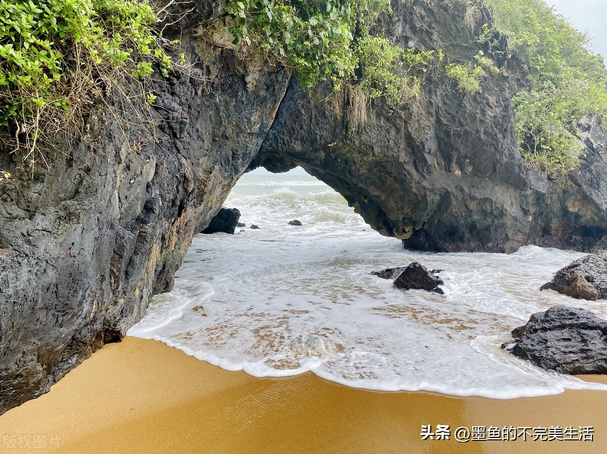 万宁不止产槟榔,还有一种本地人超爱的“芝草”,却走不出海南岛