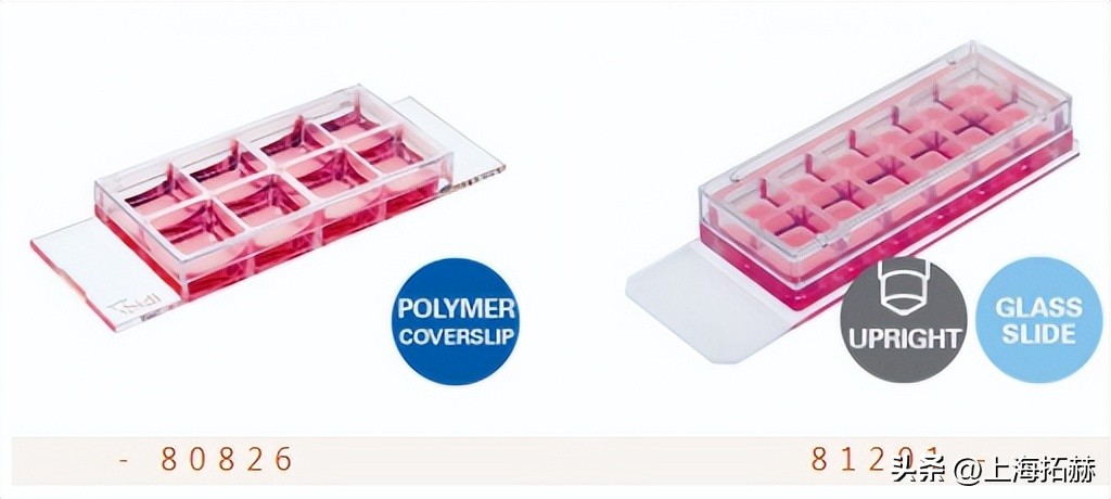 ibidi μ-Slide（80826、81201）腔室载玻片促销钜惠活动-雷萌生物