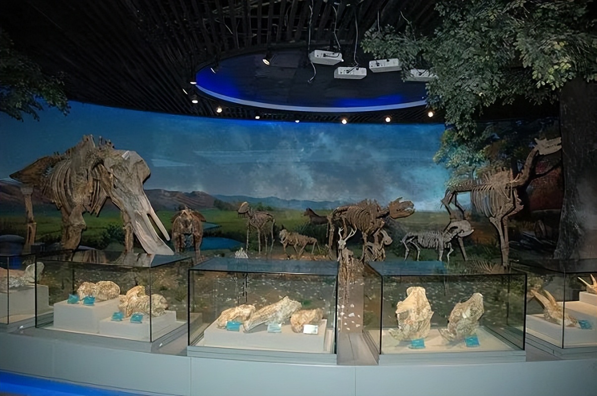 合肥景点打卡博物馆,合肥博物馆打卡视频