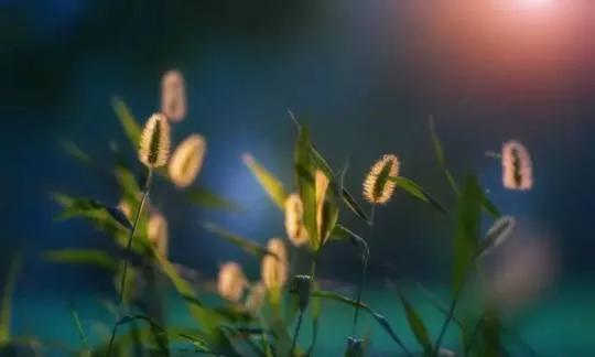 活着就有希望完整版,活着需要勇气活着就有希望