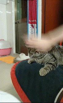 坐高铁遇到旁边老阿姨脱鞋,坐高铁遇到旁边阿姨脱鞋