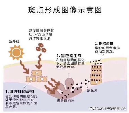 熬夜皮肤黄暗沉用的护肤品有哪些,夏天适合淡斑还是补水的护肤品