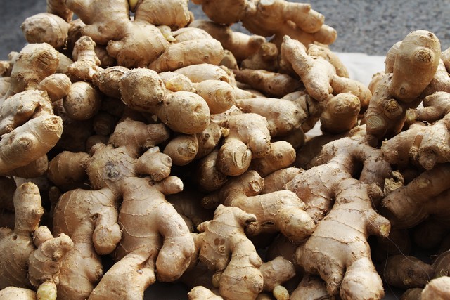 大姜幼苗期管理技术视频,大姜出苗期管理要点