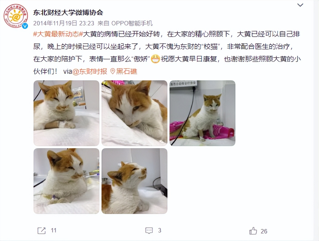 东北财经大学发讣告,东北财经大学为猫发讣告