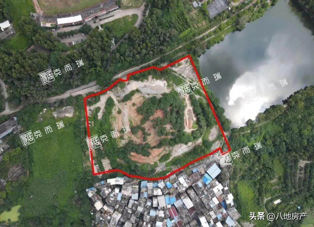 心疼白云双双流拍，天河底价成交，海珠大热