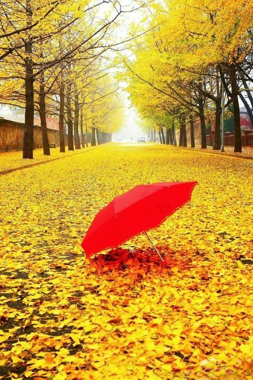 适合一个人安静的散文,散文寻一处心灵的静谧