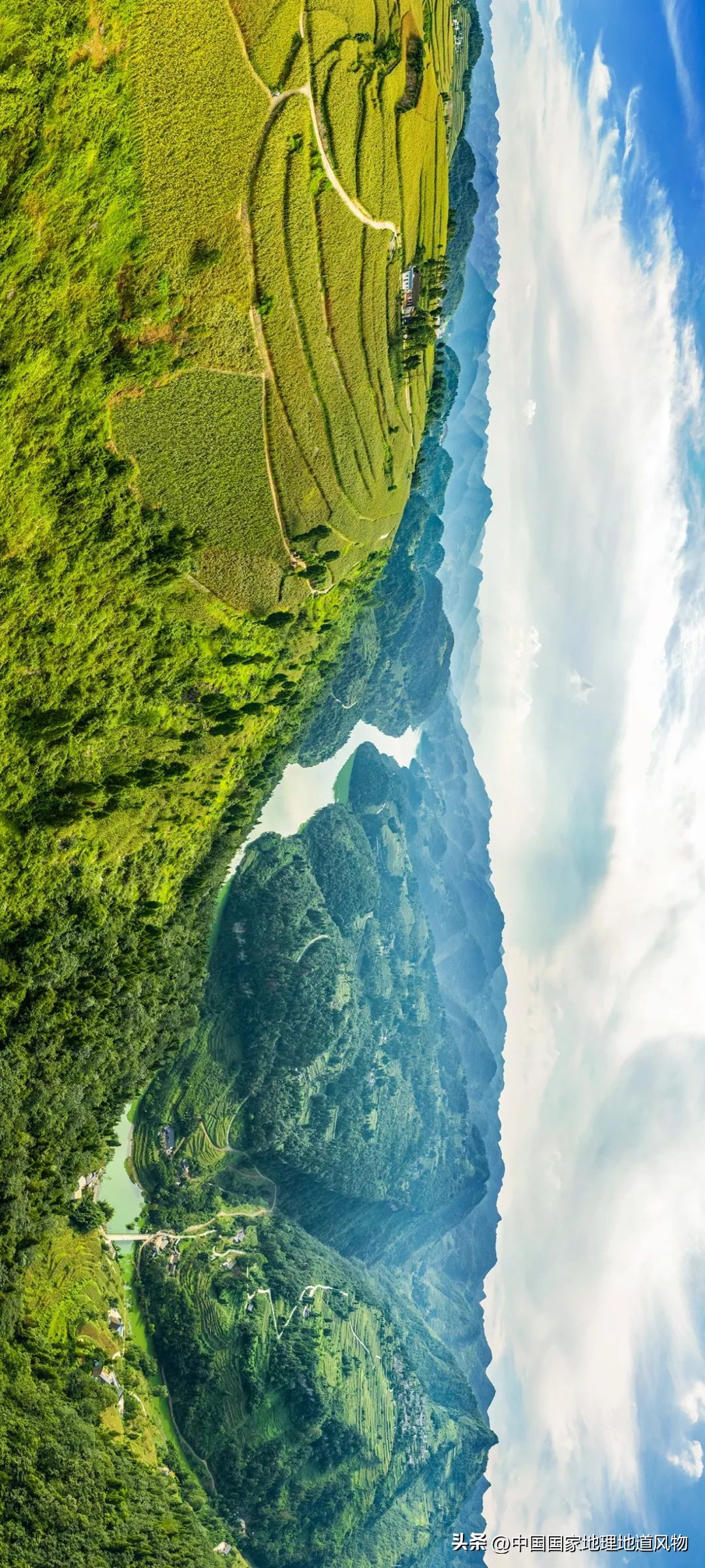 茅台酒的味道是香精调出来的吗,茅台酒的酱香是什么酱