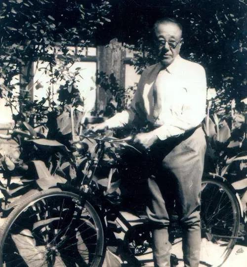 溥仪和沈醉的视频,溥仪和沈醉的关系图