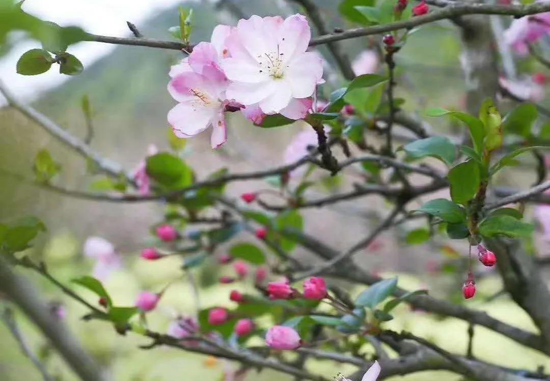 母亲是文盲沟通很困难,妈妈是文盲想认字