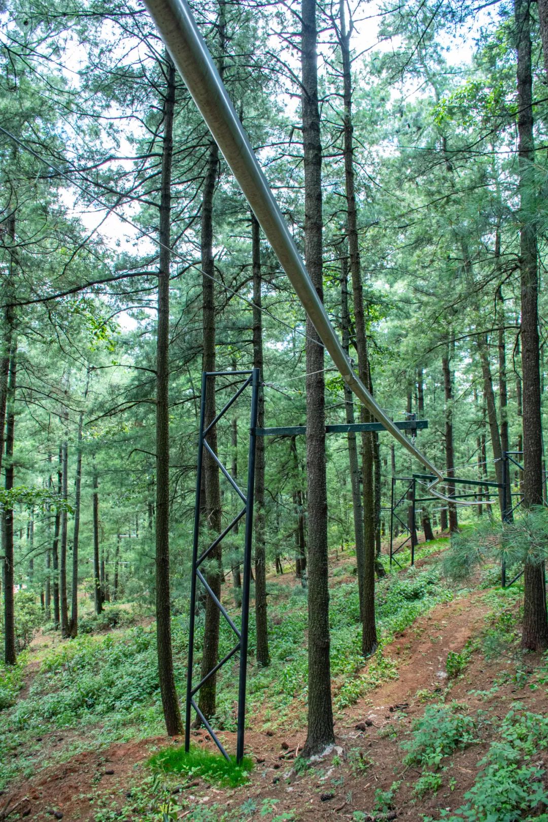 昆明旅游攻略一日游景点推荐理由,昆明旅游景点推荐一日游攻略图