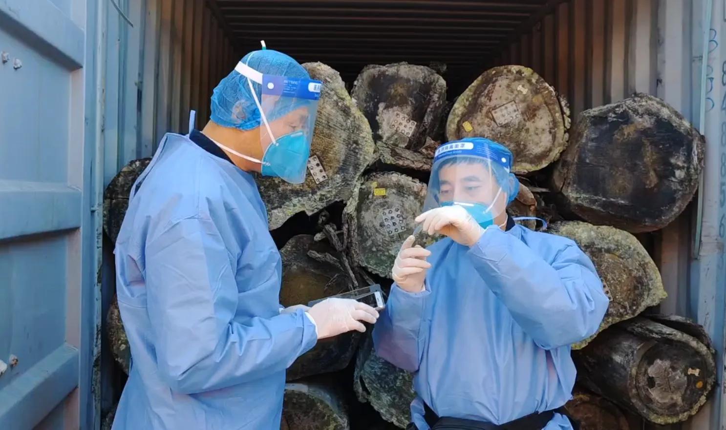 黑寡妇？广东男子被蜘蛛咬伤，手臂肿成两倍粗，一口下去差点丧命