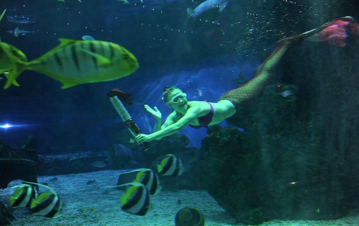 三亚潜水逼迫游客拍照,游客在三亚潜水被摘面罩推销